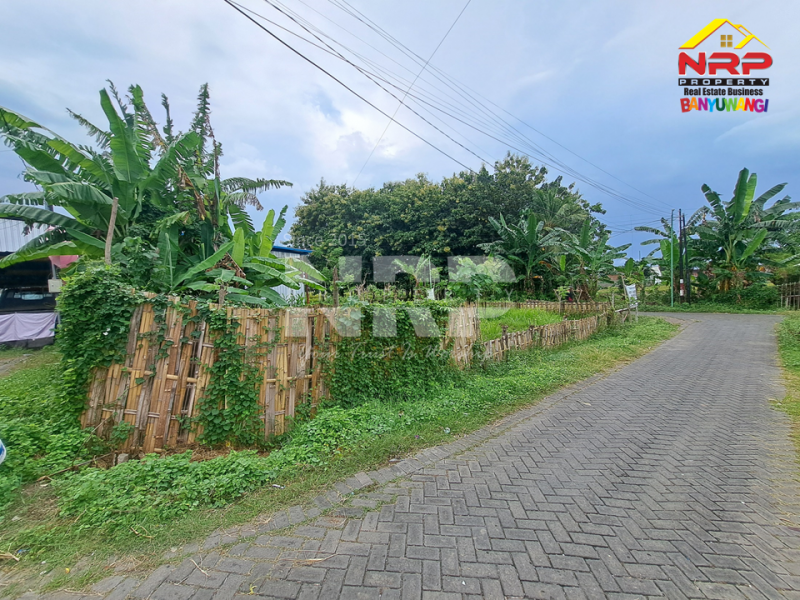 Dijual Tanah Prospek di Kawasan Perumahan Tengah Kota  - Banyuwangi  Dijual tanah murah di banyuwangi kota  Dijual Tanah Prospek di Kawasan Perumahan Tengah Kota&nbsp; - Banyuwangi&nbsp;
Berada di depan pintu Perumahan area Kebalenan, Cocok untuk cafe, toko grosir, NRP BANYUWANGI