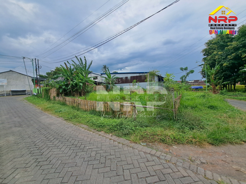 Dijual Tanah Prospek di Kawasan Perumahan Tengah Kota  - Banyuwangi  Dijual tanah murah di banyuwangi kota  Dijual Tanah Prospek di Kawasan Perumahan Tengah Kota&nbsp; - Banyuwangi&nbsp;
Berada di depan pintu Perumahan area Kebalenan, Cocok untuk cafe, toko grosir, NRP BANYUWANGI
