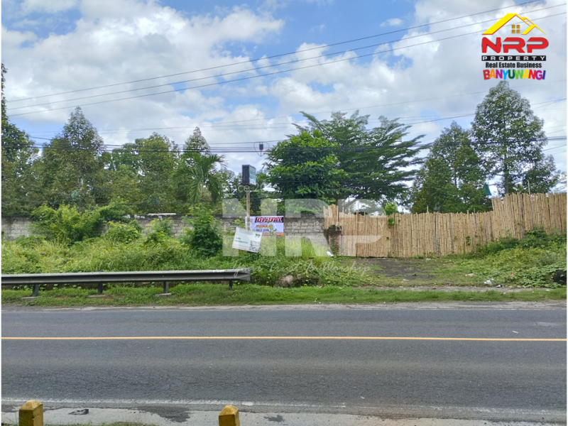 Dijual Tanah Prospek di tepi Jl. Kabat - Banyuwangi Dijual Tanah Prospek di tepi Jl. Kabat - Banyuwangi Dijual Tanah Prospek di tepi Jl. Kabat - Banyuwangi
Sangat strategis berada di Jalur Provinsi. Dekat dengan Kecamatan dan Puskesmas Kabat.&nbsp;
Cocok untuk NRP BANYUWANGI