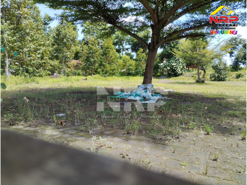 Dijual Tanah Prospek di tepi Jl. Kabat - Banyuwangi Dijual Tanah Prospek di tepi Jl. Kabat - Banyuwangi Dijual Tanah Prospek di tepi Jl. Kabat - Banyuwangi
Sangat strategis berada di Jalur Provinsi. Dekat dengan Kecamatan dan Puskesmas Kabat.&nbsp;
Cocok untuk NRP BANYUWANGI