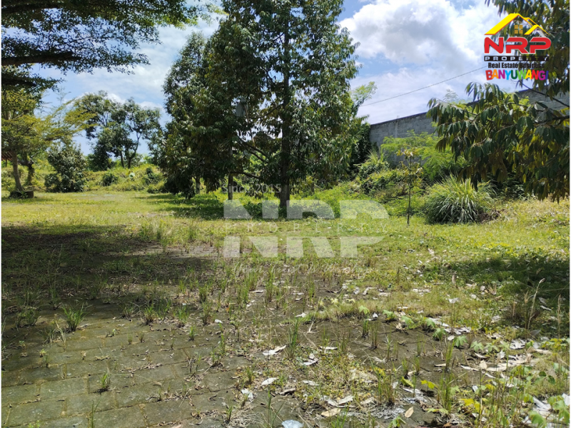 Dijual Tanah Prospek di tepi Jl. Kabat - Banyuwangi Dijual Tanah Prospek di tepi Jl. Kabat - Banyuwangi Dijual Tanah Prospek di tepi Jl. Kabat - Banyuwangi
Sangat strategis berada di Jalur Provinsi. Dekat dengan Kecamatan dan Puskesmas Kabat.&nbsp;
Cocok untuk NRP BANYUWANGI