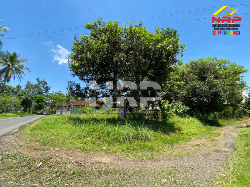 Dijual Tanah Prospek di Tepi Jl.Benelan Lor,  Kabat - Banyuwangi Dijual Tanah Prospek di Tepi Jl.Benelan Lor,  Kabat - Banyuwangi Dijual Tanah Prospek di Tepi Jl.Benelan Lor,&nbsp; Kabat - Banyuwangi
Lokasi Sangat Strategis Untuk Gudang maupun Industri
Akses Kendaraan Besar ( Tronton / NRP BANYUWANGI