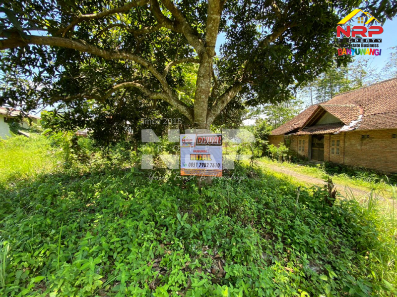 Dijual Tanah Prospek di Tepi Jl.Benelan Lor,  Kabat - Banyuwangi Dijual Tanah Prospek di Tepi Jl.Benelan Lor,  Kabat - Banyuwangi Dijual Tanah Prospek di Tepi Jl.Benelan Lor,&nbsp; Kabat - Banyuwangi
Lokasi Sangat Strategis Untuk Gudang maupun Industri
Akses Kendaraan Besar ( Tronton / NRP BANYUWANGI