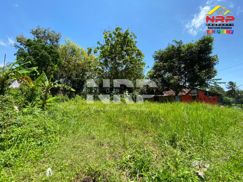 Dijual Tanah Prospek di Tepi Jl.Benelan Lor,  Kabat - Banyuwangi Dijual Tanah Prospek di Tepi Jl.Benelan Lor,  Kabat - Banyuwangi Dijual Tanah Prospek di Tepi Jl.Benelan Lor,&nbsp; Kabat - Banyuwangi
Lokasi Sangat Strategis Untuk Gudang maupun Industri
Akses Kendaraan Besar ( Tronton / NRP BANYUWANGI