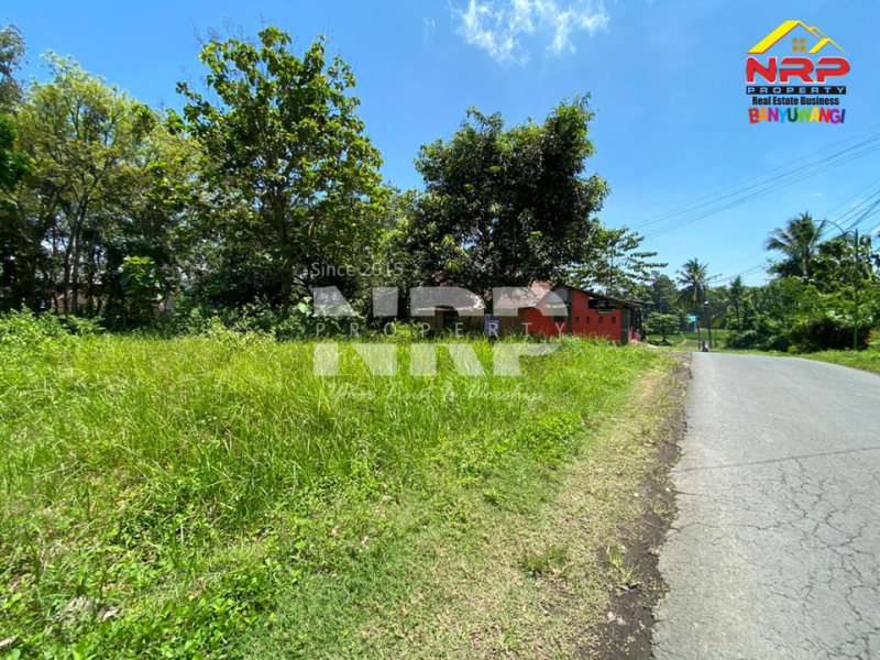 Dijual Tanah Prospek di Tepi Jl.Benelan Lor,  Kabat - Banyuwangi Dijual Tanah Prospek di Tepi Jl.Benelan Lor,  Kabat - Banyuwangi Dijual Tanah Prospek di Tepi Jl.Benelan Lor,&nbsp; Kabat - Banyuwangi
Lokasi Sangat Strategis Untuk Gudang maupun Industri
Akses Kendaraan Besar ( Tronton / NRP BANYUWANGI