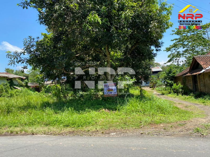 Dijual Tanah Prospek di Tepi Jl.Benelan Lor,  Kabat - Banyuwangi Dijual Tanah Prospek di Tepi Jl.Benelan Lor,  Kabat - Banyuwangi Dijual Tanah Prospek di Tepi Jl.Benelan Lor,&nbsp; Kabat - Banyuwangi
Lokasi Sangat Strategis Untuk Gudang maupun Industri
Akses Kendaraan Besar ( Tronton / NRP BANYUWANGI
