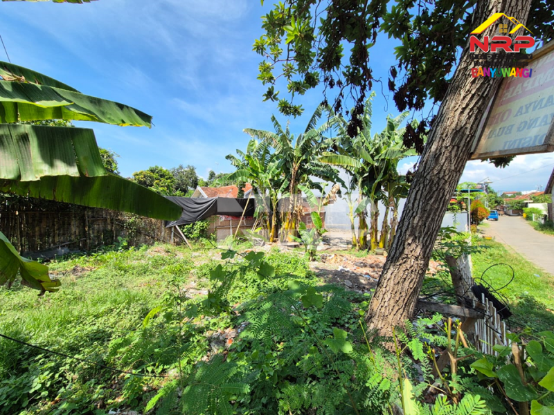 Dijual Tanah Prospek Hook di Belakang Kantor KPUD Banyuwangi Dijual Tanah Prospek Hook di Belakang Kantor KPUD Banyuwangi Dijual Tanah Prospek Hook di Belakang Kantor KPUD Banyuwangi&nbsp;
Lokasi sangat strategis Untuk Hunian, Kos- kosan dan Ruang Usaha lainnya

Luas Tanah : NRP BANYUWANGI