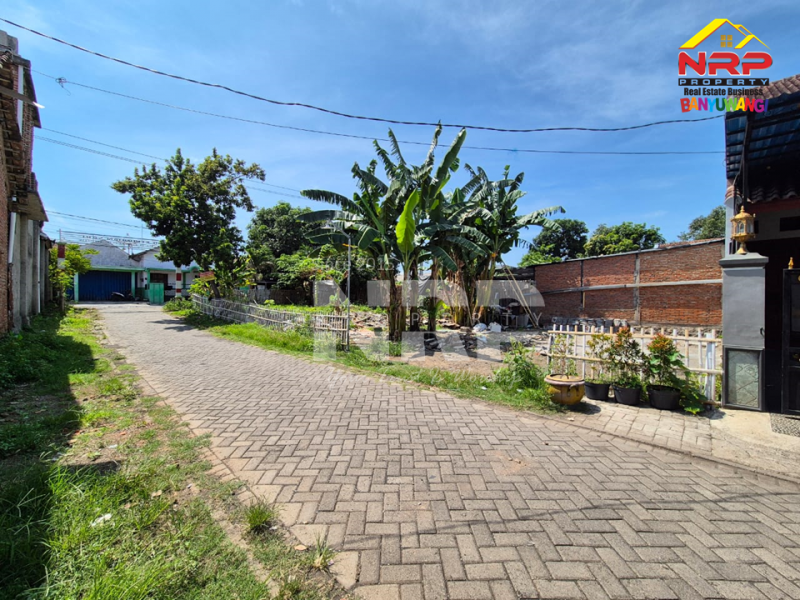 Dijual Tanah Prospek Hook di Belakang Kantor KPUD Banyuwangi Dijual Tanah Prospek Hook di Belakang Kantor KPUD Banyuwangi Dijual Tanah Prospek Hook di Belakang Kantor KPUD Banyuwangi&nbsp;
Lokasi sangat strategis Untuk Hunian, Kos- kosan dan Ruang Usaha lainnya

Luas Tanah : NRP BANYUWANGI
