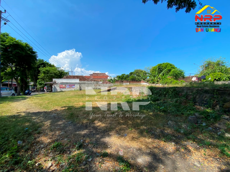 Dijual Tanah Prospek Siap Bangun di Banyuwangi Kota  Dijual Tanah Prospek Siap Bangun di Banyuwangi Kota  Dijual Tanah Prospek Siap Bangun di Banyuwangi Kota&nbsp;
Terletak di Pusat Kota, Kawasan Bisnis Aktif di Kota Banyuwangi
Dekat dengan pasar besar NRP BANYUWANGI