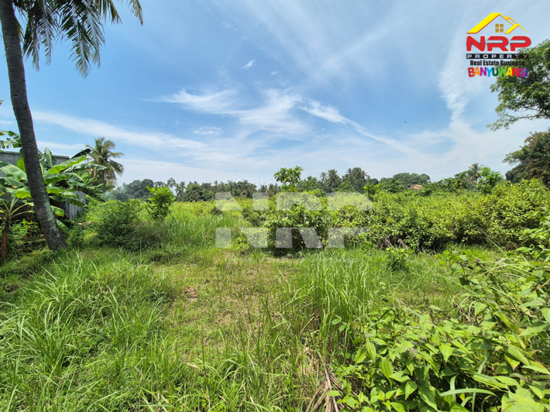 Dijual Tanah Prospek tepi Jl. Kemiren - Banyuwangi  Dijual Tanah Prospek tepi Jl. Kemiren - Banyuwangi  Dijual Tanah Prospek tepi Jl. Kemiren - Banyuwangi&nbsp;
Berada dikawasan Desa Wisata, Berada dikawasan Homestay dan Vila&nbsp;

Luas Tanah : 5.573 NRP BANYUWANGI
