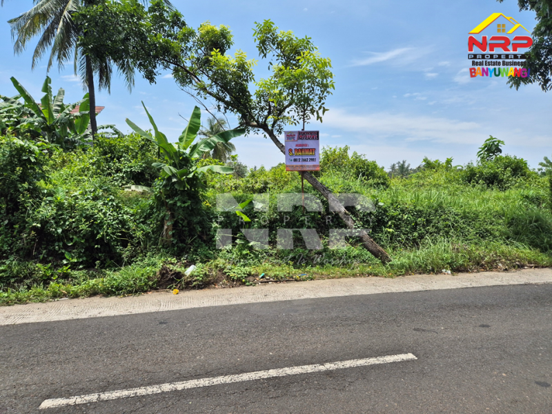 Dijual Tanah Prospek tepi Jl. Kemiren - Banyuwangi  Dijual Tanah Prospek tepi Jl. Kemiren - Banyuwangi  Dijual Tanah Prospek tepi Jl. Kemiren - Banyuwangi&nbsp;
Berada dikawasan Desa Wisata, Berada dikawasan Homestay dan Vila&nbsp;

Luas Tanah : 5.573 NRP BANYUWANGI