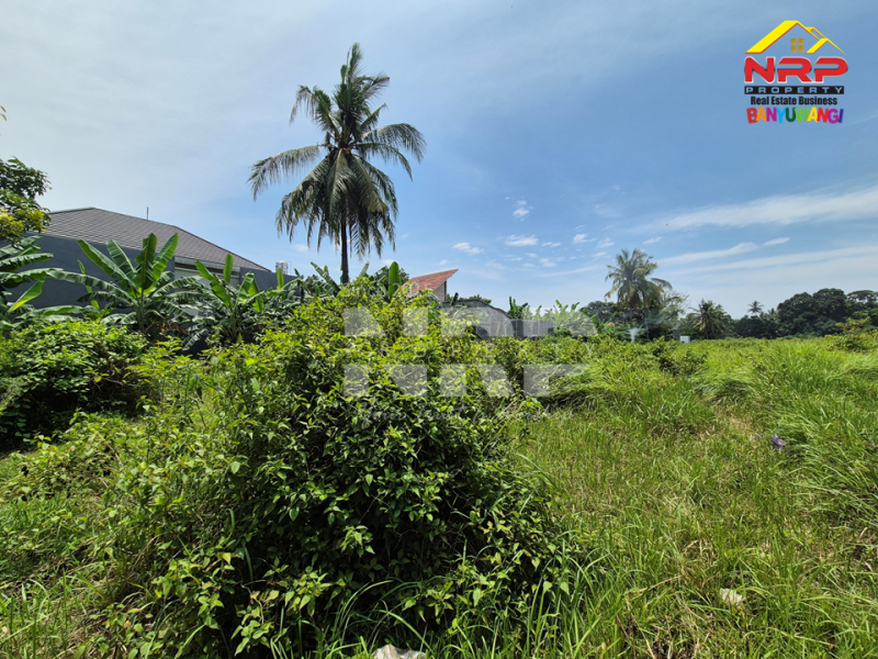 Dijual Tanah Prospek tepi Jl. Kemiren - Banyuwangi  Dijual Tanah Prospek tepi Jl. Kemiren - Banyuwangi  Dijual Tanah Prospek tepi Jl. Kemiren - Banyuwangi&nbsp;
Berada dikawasan Desa Wisata, Berada dikawasan Homestay dan Vila&nbsp;

Luas Tanah : 5.573 NRP BANYUWANGI