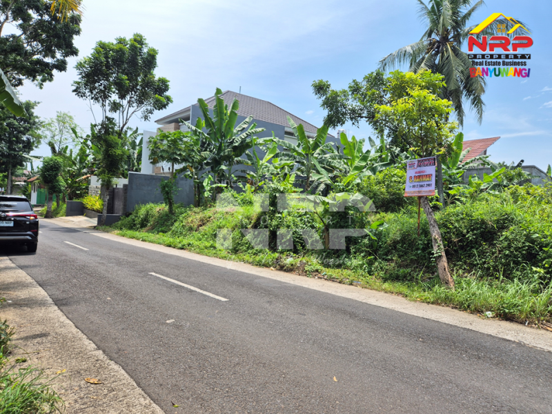 Dijual Tanah Prospek tepi Jl. Kemiren - Banyuwangi  Dijual Tanah Prospek tepi Jl. Kemiren - Banyuwangi  Dijual Tanah Prospek tepi Jl. Kemiren - Banyuwangi&nbsp;
Berada dikawasan Desa Wisata, Berada dikawasan Homestay dan Vila&nbsp;

Luas Tanah : 5.573 NRP BANYUWANGI