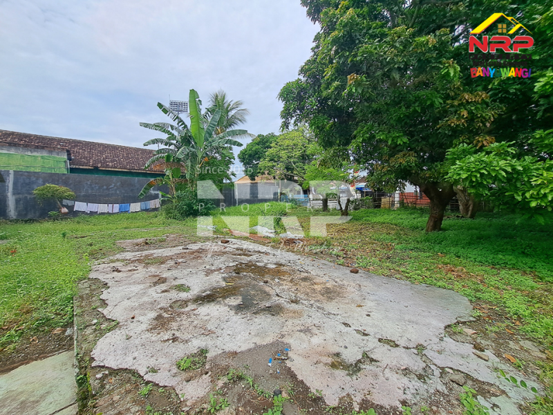 DIJUAL TANAH & RUMAH KLASIK DI PENGANJURAN BANYUWANGI DIJUAL TANAH & RUMAH KLASIK DI PENGANJURAN BANYUWANGI DIJUAL TANAH & RUMAH KLASIK DI PENGANJURAN BANYUWANGI
Rumah bergaya klasik di atas tanah luas, berada di kawasan tenang dan nyaman di pusat NRP BANYUWANGI