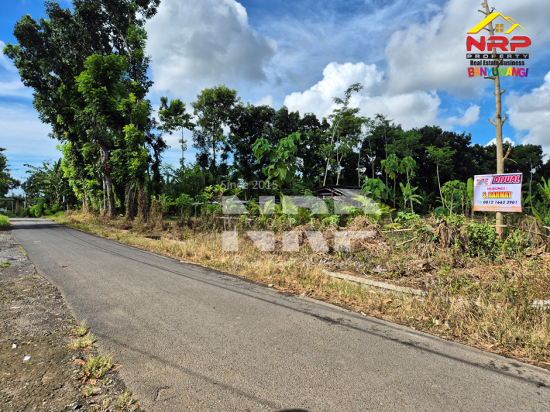 Dijual Tanah Sangat Luas sudah kering di Dadapan - Banyuwangi  Dijual Tanah Sangat Luas sudah kering di Dadapan - Banyuwangi  Dijual Tanah Sangat Luas sudah kering di Dadapan - Banyuwangi&nbsp;
Dekat dengan kawasan wisata Banyuwangi Park,Dekat dengan Fasilitas Pendidikan ternama NRP BANYUWANGI