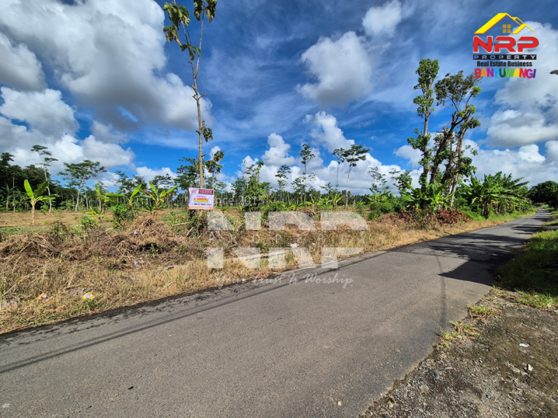 Dijual Tanah Sangat Luas sudah kering di Dadapan - Banyuwangi  Dijual Tanah Sangat Luas sudah kering di Dadapan - Banyuwangi  Dijual Tanah Sangat Luas sudah kering di Dadapan - Banyuwangi&nbsp;
Dekat dengan kawasan wisata Banyuwangi Park,Dekat dengan Fasilitas Pendidikan ternama NRP BANYUWANGI
