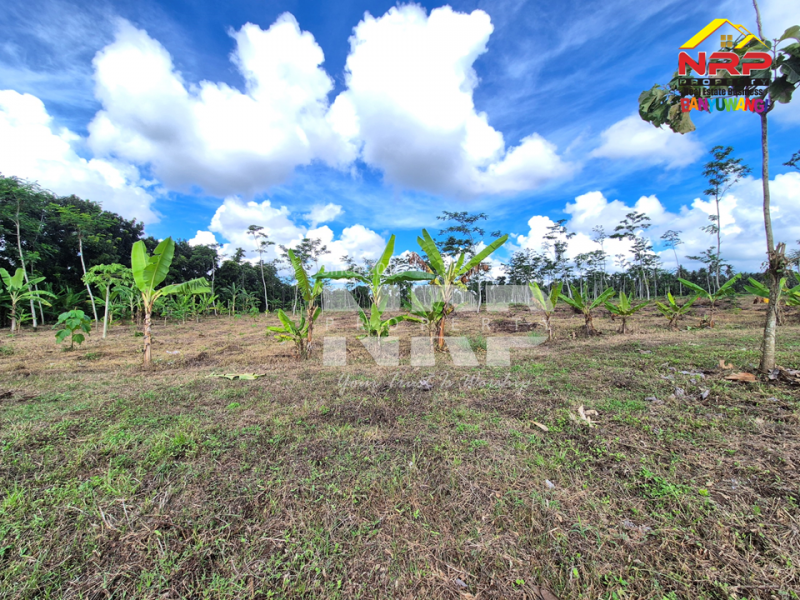 Dijual Tanah Sangat Luas sudah kering di Dadapan - Banyuwangi  Dijual Tanah Sangat Luas sudah kering di Dadapan - Banyuwangi  Dijual Tanah Sangat Luas sudah kering di Dadapan - Banyuwangi&nbsp;
Dekat dengan kawasan wisata Banyuwangi Park,Dekat dengan Fasilitas Pendidikan ternama NRP BANYUWANGI
