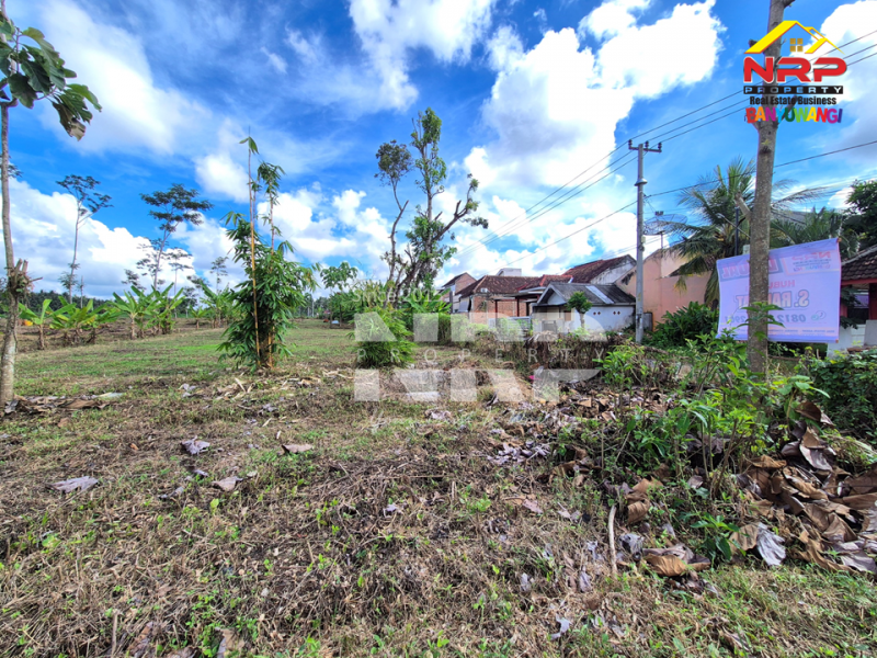 Dijual Tanah Sangat Luas sudah kering di Dadapan - Banyuwangi  Dijual Tanah Sangat Luas sudah kering di Dadapan - Banyuwangi  Dijual Tanah Sangat Luas sudah kering di Dadapan - Banyuwangi&nbsp;
Dekat dengan kawasan wisata Banyuwangi Park,Dekat dengan Fasilitas Pendidikan ternama NRP BANYUWANGI