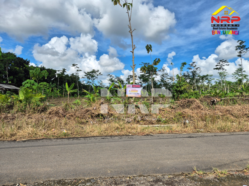 Dijual Tanah Sangat Luas sudah kering di Dadapan - Banyuwangi  Dijual Tanah Sangat Luas sudah kering di Dadapan - Banyuwangi  Dijual Tanah Sangat Luas sudah kering di Dadapan - Banyuwangi&nbsp;
Dekat dengan kawasan wisata Banyuwangi Park,Dekat dengan Fasilitas Pendidikan ternama NRP BANYUWANGI