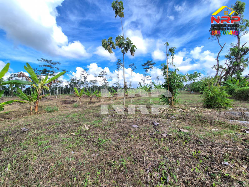 Dijual Tanah Sangat Luas sudah kering di Dadapan - Banyuwangi  Dijual Tanah Sangat Luas sudah kering di Dadapan - Banyuwangi  Dijual Tanah Sangat Luas sudah kering di Dadapan - Banyuwangi&nbsp;
Dekat dengan kawasan wisata Banyuwangi Park,Dekat dengan Fasilitas Pendidikan ternama NRP BANYUWANGI
