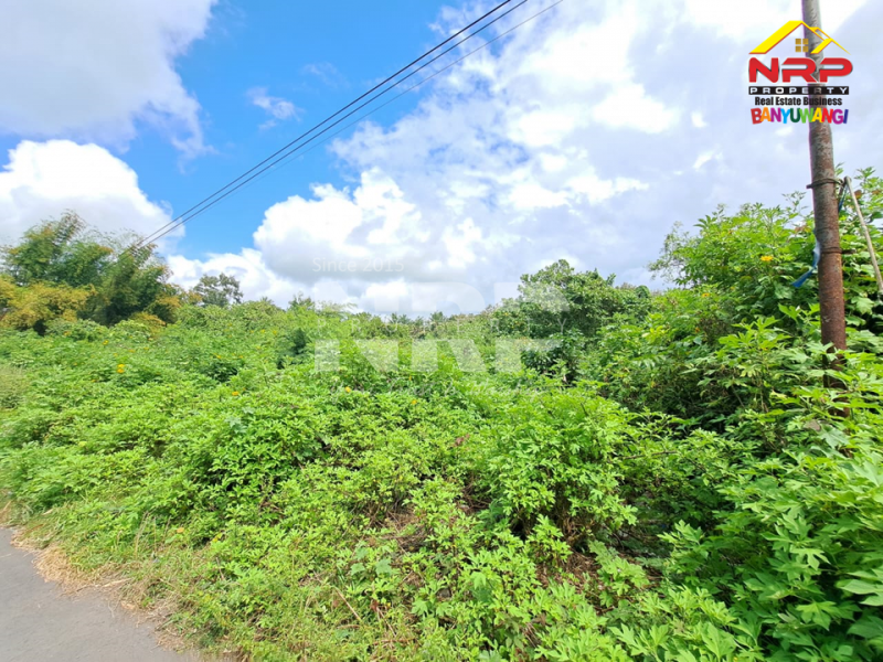 Dijual Tanah Sangat Luas tepi Jl. Pancoran, Rogojampi  Dijual Tanah Sangat Luas tepi Jl. Pancoran, Rogojampi  Dijual Tanah Sangat Luas tepi Jl. Pancoran, Rogojampi&nbsp;
Cocok untuk dibangun Gudang atau Industri&nbsp;
Dekat dengan Bandara Blimbingsari Banyuwangi, NRP BANYUWANGI