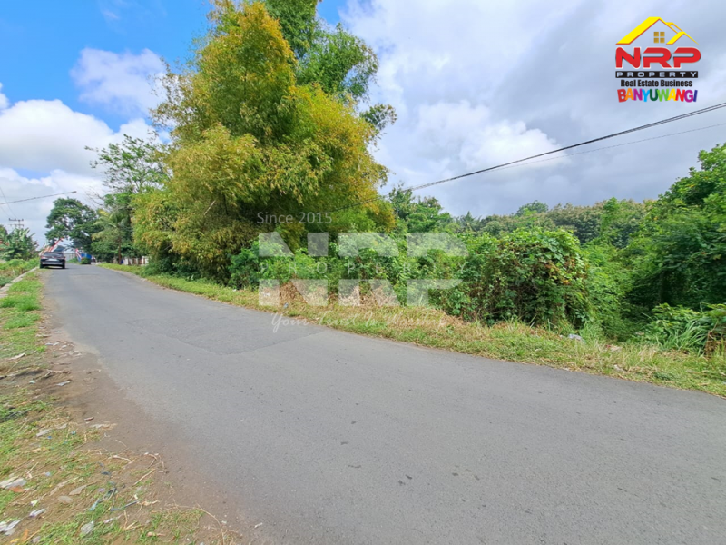 Dijual Tanah Sangat Luas tepi Jl. Pancoran, Rogojampi  Dijual Tanah Sangat Luas tepi Jl. Pancoran, Rogojampi  Dijual Tanah Sangat Luas tepi Jl. Pancoran, Rogojampi&nbsp;
Cocok untuk dibangun Gudang atau Industri&nbsp;
Dekat dengan Bandara Blimbingsari Banyuwangi, NRP BANYUWANGI