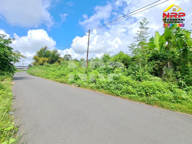 Dijual Tanah Sangat Luas tepi Jl. Pancoran, Rogojampi  Dijual Tanah Sangat Luas tepi Jl. Pancoran, Rogojampi  Dijual Tanah Sangat Luas tepi Jl. Pancoran, Rogojampi&nbsp;
Cocok untuk dibangun Gudang atau Industri&nbsp;
Dekat dengan Bandara Blimbingsari Banyuwangi, NRP BANYUWANGI