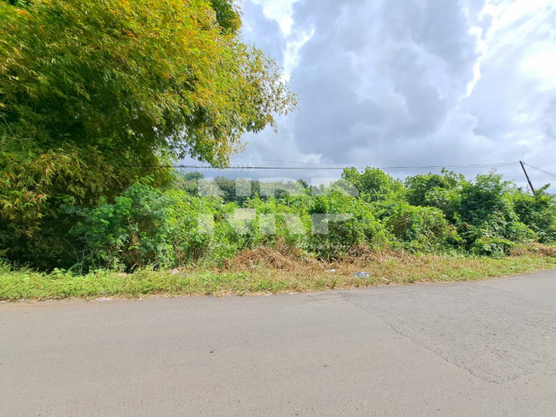 Dijual Tanah Sangat Luas tepi Jl. Pancoran, Rogojampi  Dijual Tanah Sangat Luas tepi Jl. Pancoran, Rogojampi  Dijual Tanah Sangat Luas tepi Jl. Pancoran, Rogojampi&nbsp;
Cocok untuk dibangun Gudang atau Industri&nbsp;
Dekat dengan Bandara Blimbingsari Banyuwangi, NRP BANYUWANGI