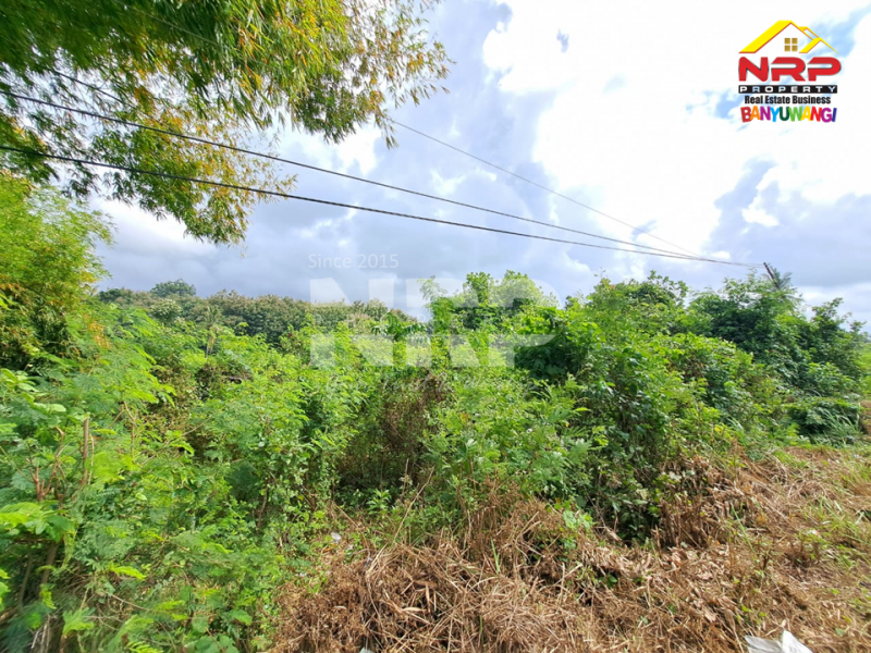 Dijual Tanah Sangat Luas tepi Jl. Pancoran, Rogojampi  Dijual Tanah Sangat Luas tepi Jl. Pancoran, Rogojampi  Dijual Tanah Sangat Luas tepi Jl. Pancoran, Rogojampi&nbsp;
Cocok untuk dibangun Gudang atau Industri&nbsp;
Dekat dengan Bandara Blimbingsari Banyuwangi, NRP BANYUWANGI