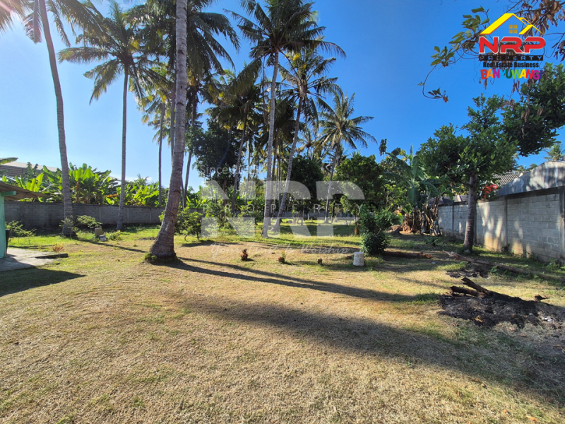 Dijual Tanah Sangat Strategis bersebelahan dengan Kampus UNIBA Banyuwangi   Dijual Tanah Sangat Strategis bersebelahan dengan Kampus UNIBA Banyuwangi   Dijual Tanah Sangat Strategis bersebelahan dengan Kampus UNIBA Banyuwangi&nbsp;&nbsp;
Dekat Fasilitas Pendidikan, Pebelanjaan, pertokoan dan sentra NRP BANYUWANGI