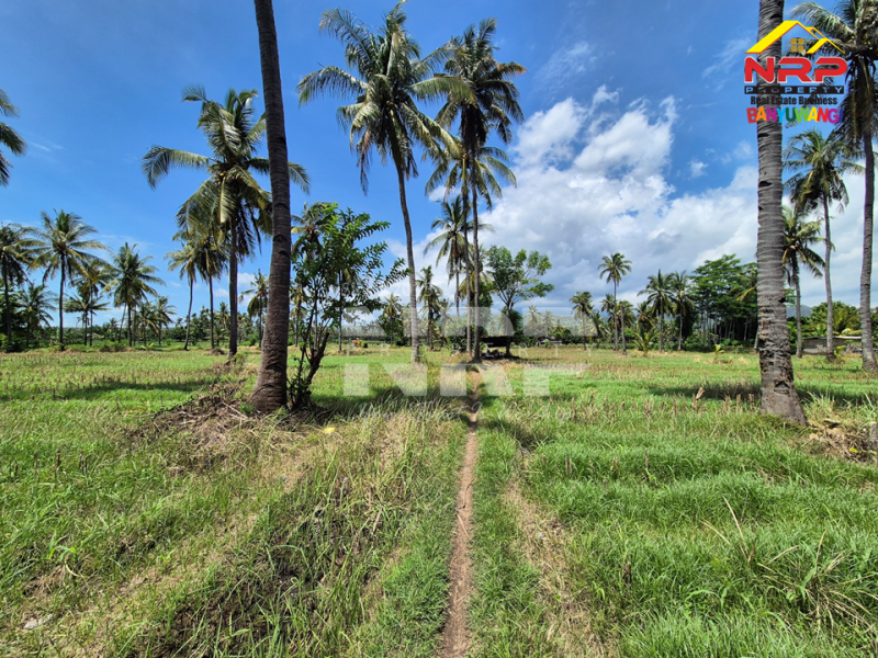 Dijual Tanah Sawah di Ketapang - Banyuwangi Dijual Tanah Sawah di Ketapang - Banyuwangi Dijual Tanah Sawah di Ketapang - Banyuwangi
Loksi dekat Stasiun Ketapang&nbsp;

Luas Tanah : 12.810 m2 NRP BANYUWANGI