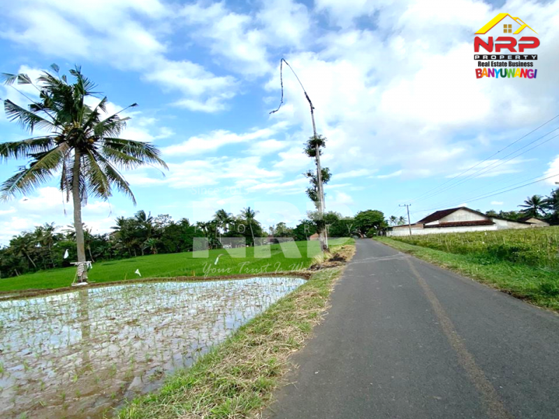 Dijual Tanah Sawah di tepi Jl. Dusun Ledok, Jelun - Licin  Dijual Tanah Sawah di tepi Jl. Dusun Ledok, Jelun - Licin  Dijual Tanah Sawah di tepi Jl. Dusun Ledok, Jelun - Licin&nbsp;
Akses sangat mudah, tepi Jl. Aspal Roda 4.&nbsp;
Dekat dengan Ijen Clift Resort.&nbsp;

LT NRP BANYUWANGI