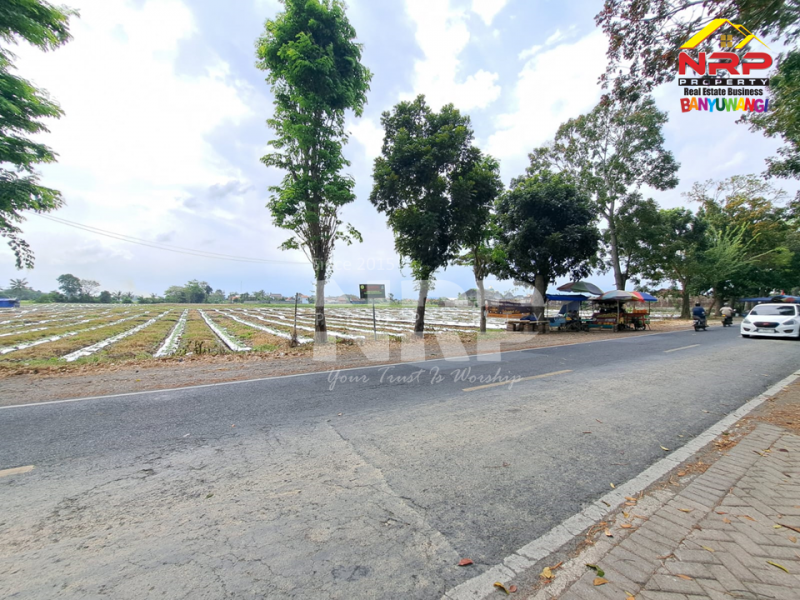 Dijual Tanah Sawah di Tepi Jl. Jember - Banyuwangi  Dijual Tanah Sawah di Tepi Jl. Jember - Banyuwangi  Dijual Tanah Sawah di Tepi Jl. Jember - Banyuwangi&nbsp;
Lokasi strategis Berada di dekat Mitra Swalayan Rogojampi&nbsp;

Luas Tanah : 24.105 M2 NRP BANYUWANGI