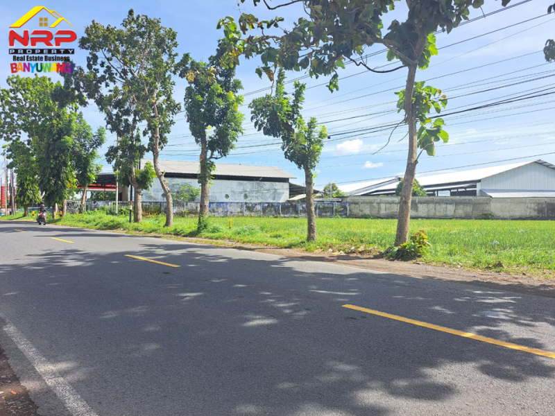 Dijual Tanah Sawah di Tepi Jl. Jember - Banyuwangi  Dijual Tanah Sawah di Tepi Jl. Jember - Banyuwangi  Dijual Tanah Sawah di Tepi Jl. Jember - Banyuwangi&nbsp;
Lokasi strategis Berada di Depan RSNU Mangir Banyuwangi.&nbsp;

Luas Tanah : 5000 M2 SHM
Dimensi NRP BANYUWANGI
