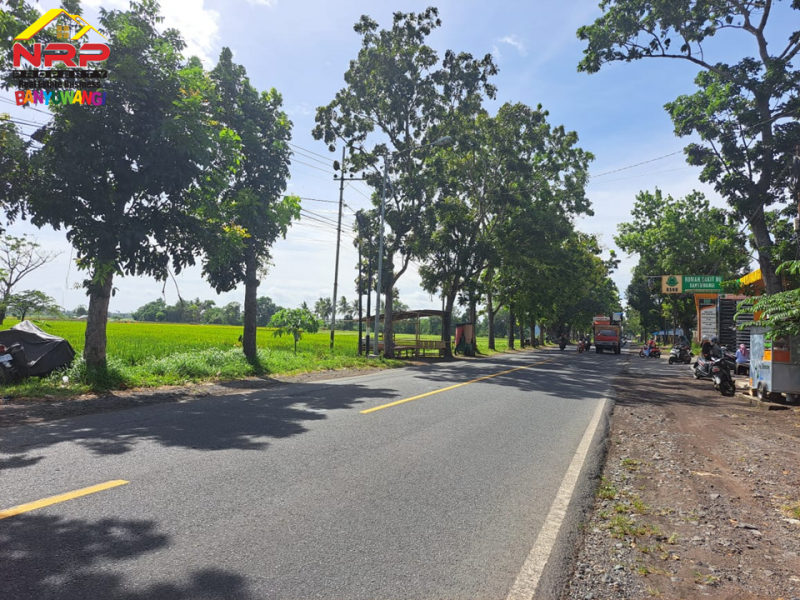 Dijual Tanah Sawah di Tepi Jl. Jember - Banyuwangi  Dijual Tanah Sawah di Tepi Jl. Jember - Banyuwangi  Dijual Tanah Sawah di Tepi Jl. Jember - Banyuwangi&nbsp;
Lokasi strategis Berada di Depan RSNU Mangir Banyuwangi.&nbsp;

Luas Tanah : 5000 M2 SHM
Dimensi NRP BANYUWANGI
