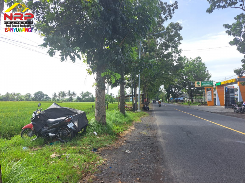 Dijual Tanah Sawah di Tepi Jl. Jember - Banyuwangi  Dijual Tanah Sawah di Tepi Jl. Jember - Banyuwangi  Dijual Tanah Sawah di Tepi Jl. Jember - Banyuwangi&nbsp;
Lokasi strategis Berada di Depan RSNU Mangir Banyuwangi.&nbsp;

Luas Tanah : 5000 M2 SHM
Dimensi NRP BANYUWANGI
