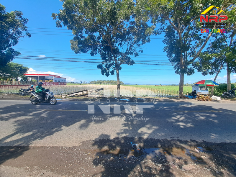 Dijual Tanah Sawah di Tepi Jl. Srono - Banyuwangi  Dijual Tanah Sawah di Tepi Jl. Srono - Banyuwangi  Dijual Tanah Sawah di Tepi Jl. Srono - Banyuwangi&nbsp;
Lokasi strategis Berada dekat dengan SPBU dan Klinik

Luas Tanah : 6.900 M2 NRP BANYUWANGI