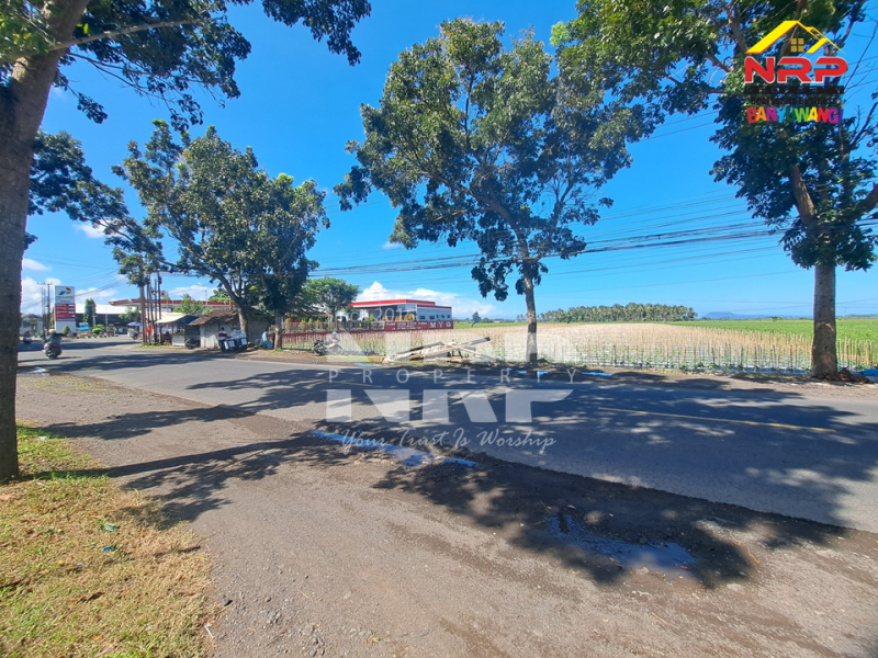 Dijual Tanah Sawah di Tepi Jl. Srono - Banyuwangi  Dijual Tanah Sawah di Tepi Jl. Srono - Banyuwangi  Dijual Tanah Sawah di Tepi Jl. Srono - Banyuwangi&nbsp;
Lokasi strategis Berada dekat dengan SPBU dan Klinik

Luas Tanah : 6.900 M2 NRP BANYUWANGI