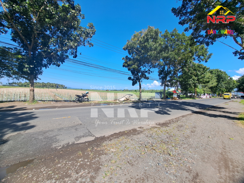 Dijual Tanah Sawah di Tepi Jl. Srono - Banyuwangi  Dijual Tanah Sawah di Tepi Jl. Srono - Banyuwangi  Dijual Tanah Sawah di Tepi Jl. Srono - Banyuwangi&nbsp;
Lokasi strategis Berada dekat dengan SPBU dan Klinik

Luas Tanah : 6.900 M2 NRP BANYUWANGI