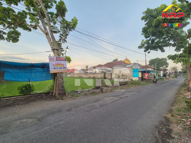 Dijual Tanah Sawah ditepi Jl.Kedungrejo - Muncar  Dijual Tanah Sawah ditepi Jl.Kedungrejo - Muncar  Dijual Tanah Sawah ditepi Jl.Kedungrejo - Muncar&nbsp;
Hanya 5 menit dari pelabuhan muncar, 4 Menit dari Jl. Raya Sumberayu&nbsp;

Luas Tanah 1.240 NRP BANYUWANGI