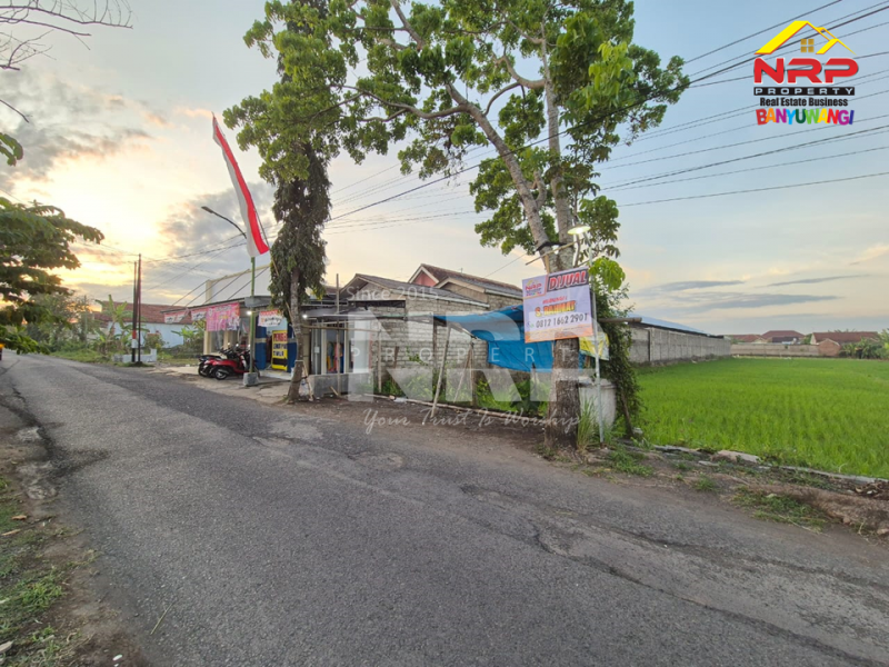 Dijual Tanah Sawah ditepi Jl.Kedungrejo - Muncar  Dijual Tanah Sawah ditepi Jl.Kedungrejo - Muncar  Dijual Tanah Sawah ditepi Jl.Kedungrejo - Muncar&nbsp;
Hanya 5 menit dari pelabuhan muncar, 4 Menit dari Jl. Raya Sumberayu&nbsp;

Luas Tanah 1.240 NRP BANYUWANGI