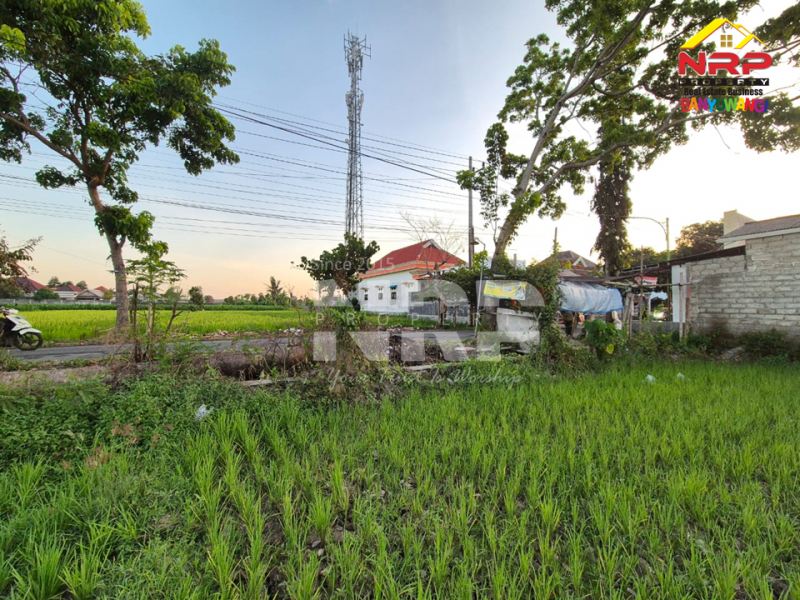 Dijual Tanah Sawah ditepi Jl.Kedungrejo - Muncar  Dijual Tanah Sawah ditepi Jl.Kedungrejo - Muncar  Dijual Tanah Sawah ditepi Jl.Kedungrejo - Muncar&nbsp;
Hanya 5 menit dari pelabuhan muncar, 4 Menit dari Jl. Raya Sumberayu&nbsp;

Luas Tanah 1.240 NRP BANYUWANGI