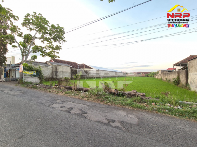 Dijual Tanah Sawah ditepi Jl.Kedungrejo - Muncar  Dijual Tanah Sawah ditepi Jl.Kedungrejo - Muncar  Dijual Tanah Sawah ditepi Jl.Kedungrejo - Muncar&nbsp;
Hanya 5 menit dari pelabuhan muncar, 4 Menit dari Jl. Raya Sumberayu&nbsp;

Luas Tanah 1.240 NRP BANYUWANGI