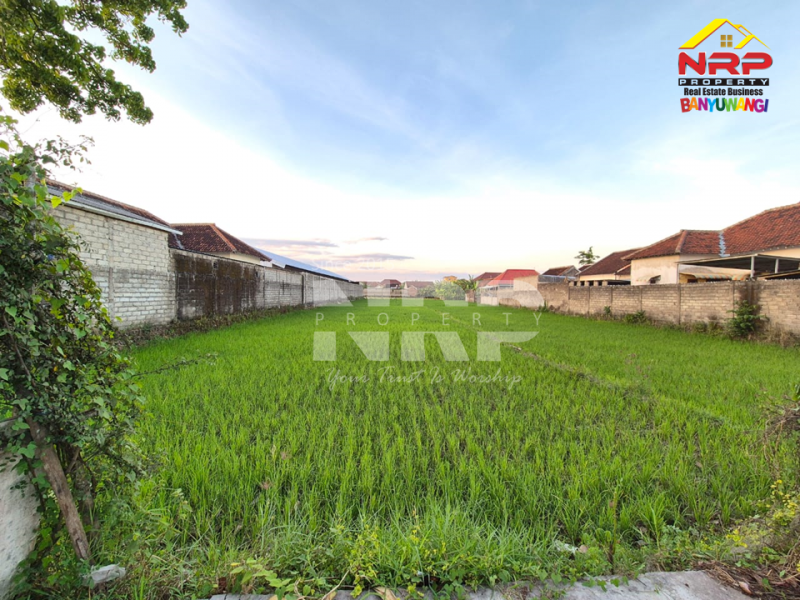 Dijual Tanah Sawah ditepi Jl.Kedungrejo - Muncar  Dijual Tanah Sawah ditepi Jl.Kedungrejo - Muncar  Dijual Tanah Sawah ditepi Jl.Kedungrejo - Muncar&nbsp;
Hanya 5 menit dari pelabuhan muncar, 4 Menit dari Jl. Raya Sumberayu&nbsp;

Luas Tanah 1.240 NRP BANYUWANGI