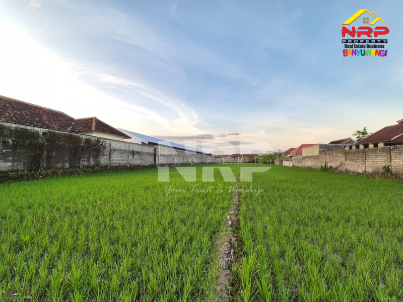 Dijual Tanah Sawah ditepi Jl.Kedungrejo - Muncar  Dijual Tanah Sawah ditepi Jl.Kedungrejo - Muncar  Dijual Tanah Sawah ditepi Jl.Kedungrejo - Muncar&nbsp;
Hanya 5 menit dari pelabuhan muncar, 4 Menit dari Jl. Raya Sumberayu&nbsp;

Luas Tanah 1.240 NRP BANYUWANGI