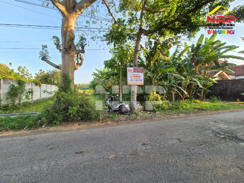 Dijual Tanah Sawah ditepi Jl.Tratas - Muncar, Banyuwangi Dijual Tanah Sawah ditepi Jl.Tratas - Muncar, Banyuwangi Dijual Tanah Sawah ditepi Jl.Tratas - Muncar, Banyuwangi&nbsp;
900 Meter dari Pantai Muncar, 9 menit dari Pelabuhan muncar

Luas Tanah 5.049 NRP BANYUWANGI