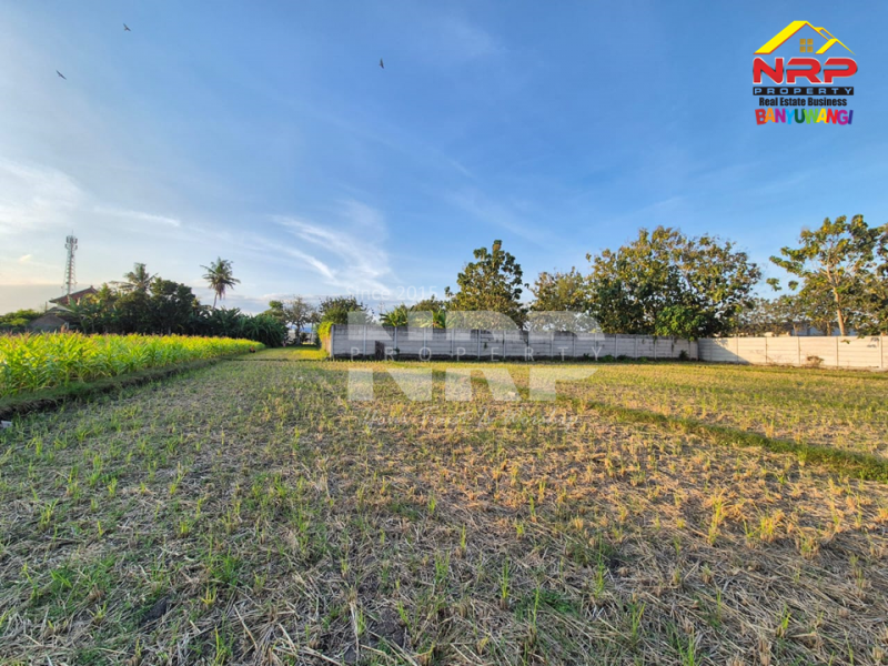 Dijual Tanah Sawah ditepi Jl.Tratas - Muncar, Banyuwangi Dijual Tanah Sawah ditepi Jl.Tratas - Muncar, Banyuwangi Dijual Tanah Sawah ditepi Jl.Tratas - Muncar, Banyuwangi&nbsp;
900 Meter dari Pantai Muncar, 9 menit dari Pelabuhan muncar

Luas Tanah 5.049 NRP BANYUWANGI