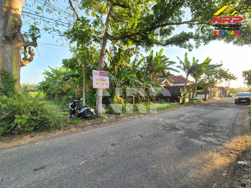 Dijual Tanah Sawah ditepi Jl.Tratas - Muncar, Banyuwangi Dijual Tanah Sawah ditepi Jl.Tratas - Muncar, Banyuwangi Dijual Tanah Sawah ditepi Jl.Tratas - Muncar, Banyuwangi&nbsp;
900 Meter dari Pantai Muncar, 9 menit dari Pelabuhan muncar

Luas Tanah 5.049 NRP BANYUWANGI