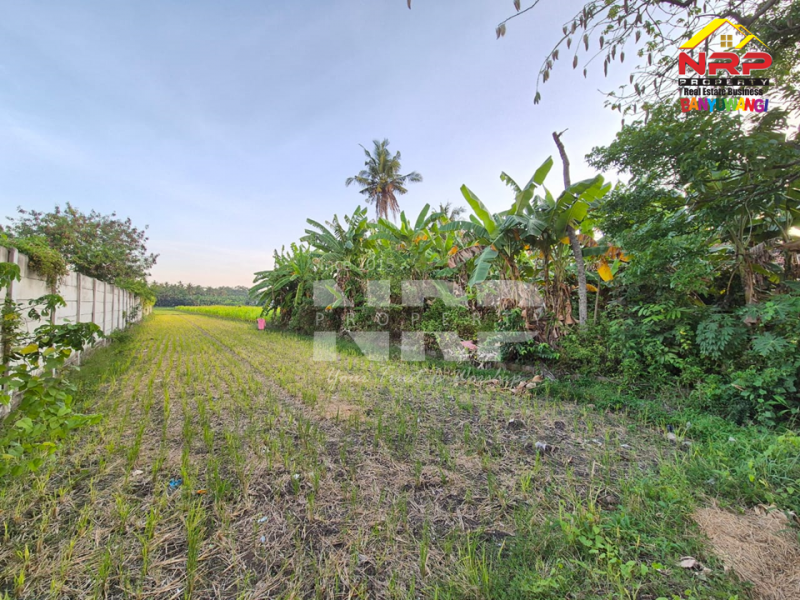 Dijual Tanah Sawah ditepi Jl.Tratas - Muncar, Banyuwangi Dijual Tanah Sawah ditepi Jl.Tratas - Muncar, Banyuwangi Dijual Tanah Sawah ditepi Jl.Tratas - Muncar, Banyuwangi&nbsp;
900 Meter dari Pantai Muncar, 9 menit dari Pelabuhan muncar

Luas Tanah 5.049 NRP BANYUWANGI