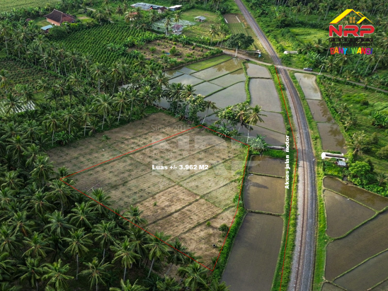 Dijual Tanah Sawah Produktif di Barat Perumahan TPI Kedayunan  Dijual Tanah Sawah Produktif di Barat Perumahan TPI Kedayunan  Dijual Tanah Sawah Produktif di Barat Perumahan TPI Kedayunan&nbsp;
Dekat dengan Hotel Kokoon, El Royal dan Banyuwangi Park.&nbsp;
Akses jalan mobil +/- 50 NRP BANYUWANGI